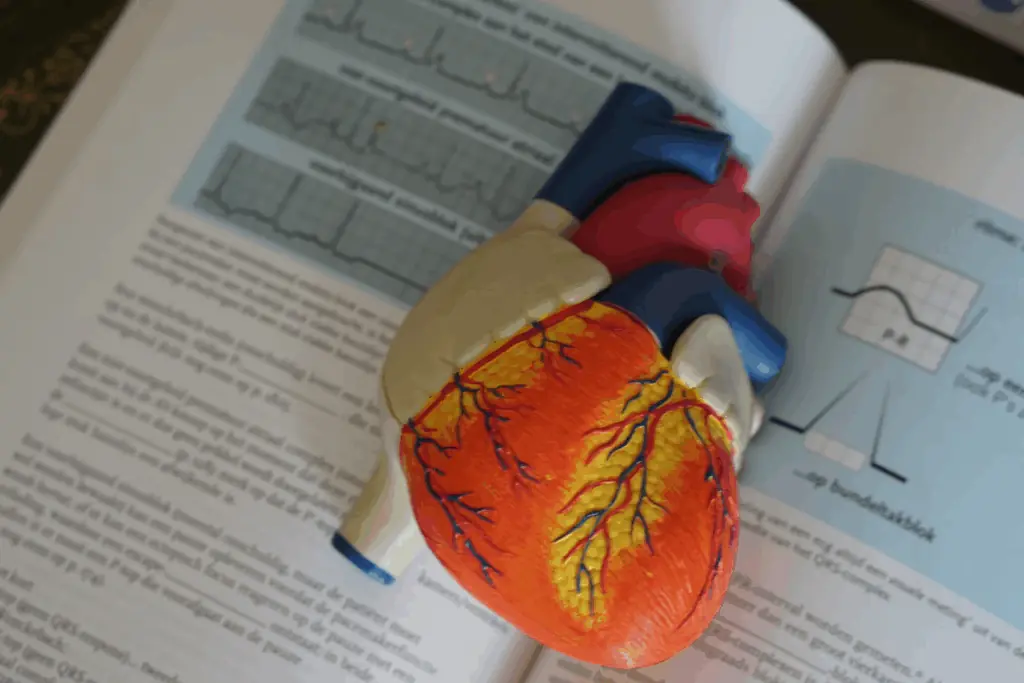 Preventing Stroke At Any Age: 3 “Don’ts” After Meals—And 4 “Don’ts” Before Bed