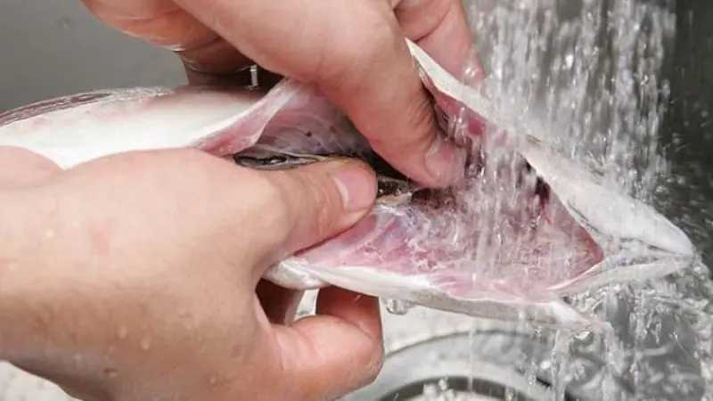 Why Does Fish Often Smell Fishy? The Real Reason Many People Don’t Know