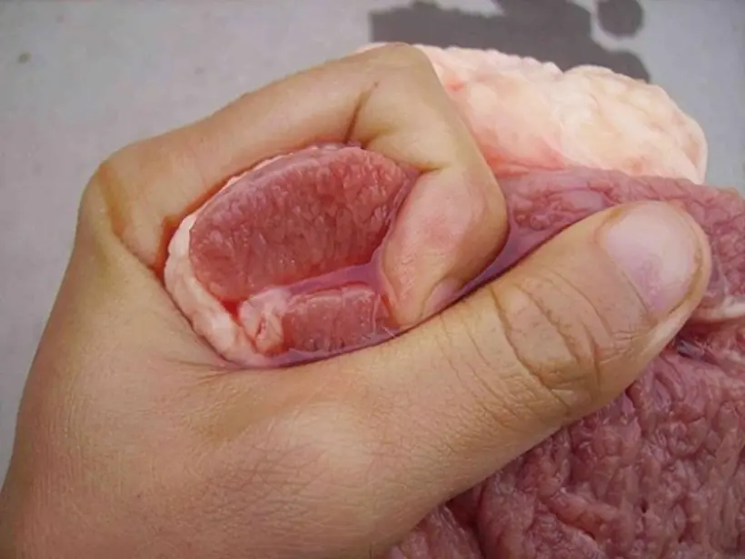 If You See Pork with These 4 Signs at the Market, Don’t Buy It No Matter How Cheap