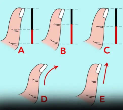 The Secrets Your Thumb Shape Reveals