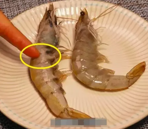 When buying shrimp, should you choose straight shrimp or curved shrimp?