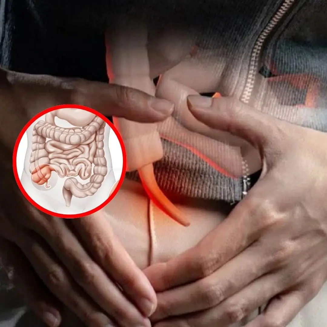 4 warning signs from the appendix, do not ignore!