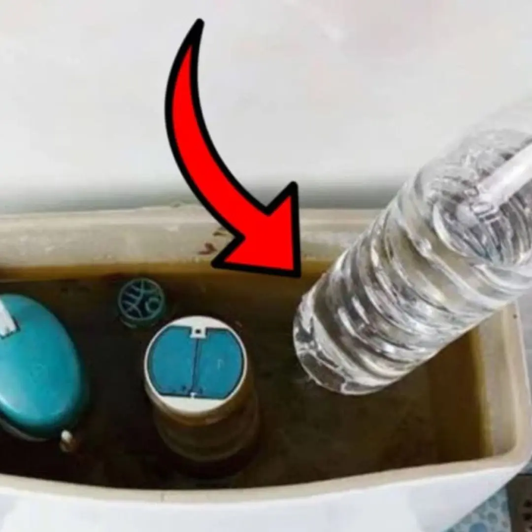 Put a plastic bottle in the toilet tank: A simple thing with great benefits, it's a waste if you don't know