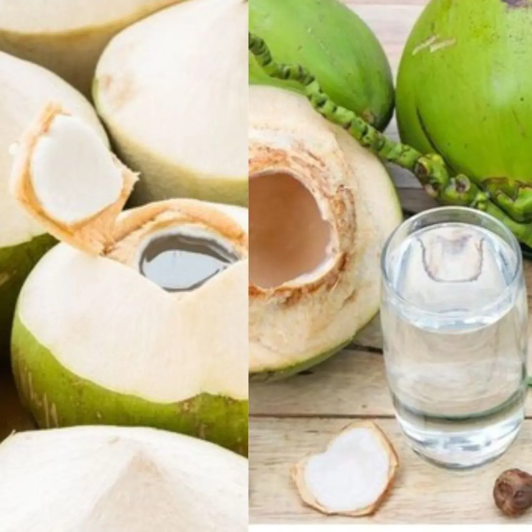 Great effects of drinking coconut water on an empty stomach for 7 days, the results will surprise you