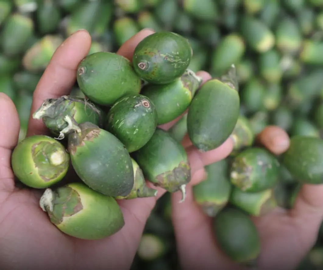 4 everyday fruits doctors warn could fuel can.cer growth