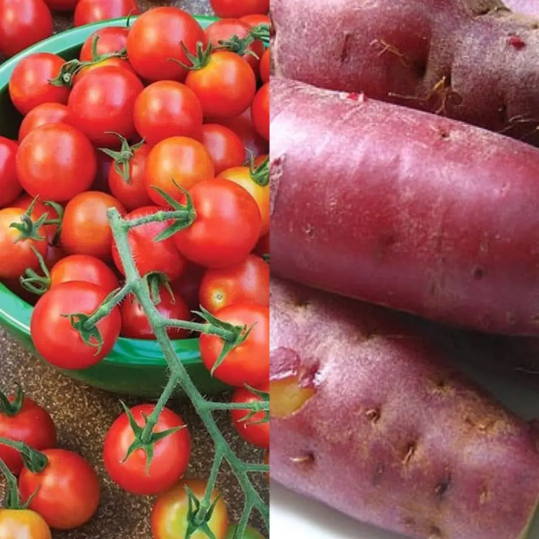When eating tomatoes, never eat them with these 4 foods. It's not too late to know now