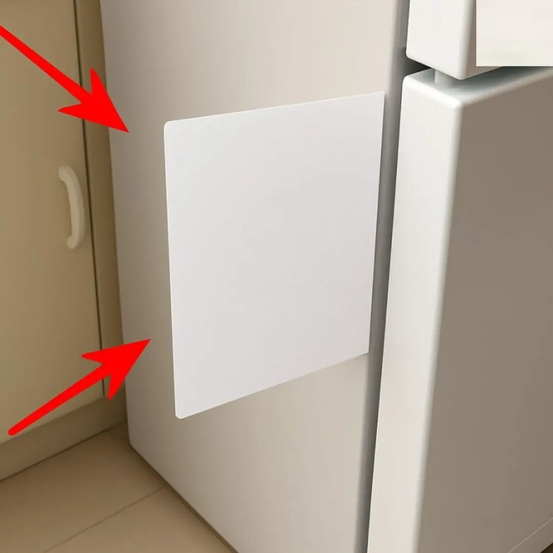 Insert a piece of paper into the refrigerator door: An amazing tip to save a lot on your electricity bill