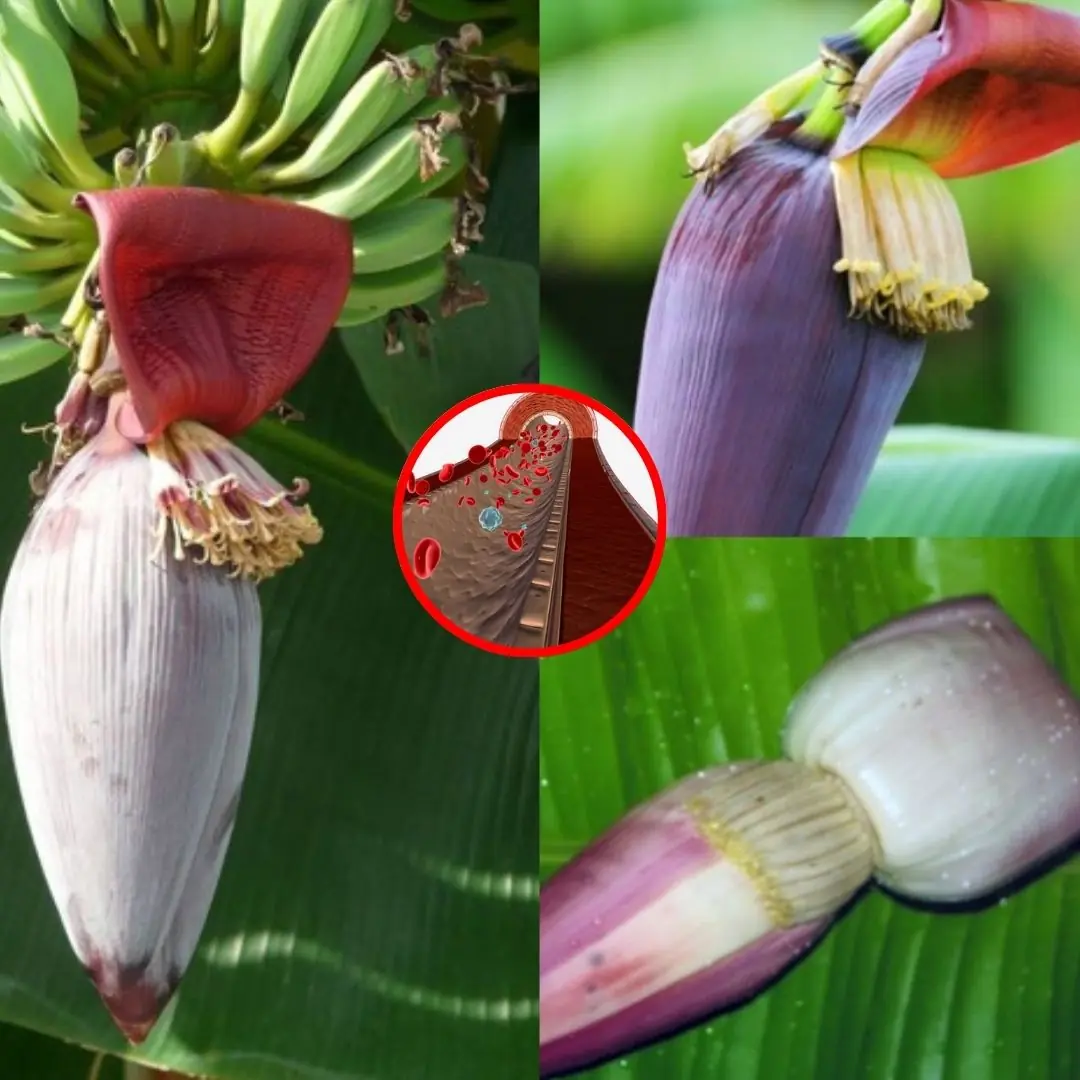 One simple natural remedy can help fight diabetes, high blood pressure, and stomach pain — and you’ll never believe what it is