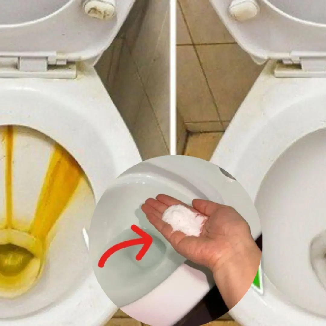 Put this in your toilet and come back after 30 minutes… you won’t believe your eyes!