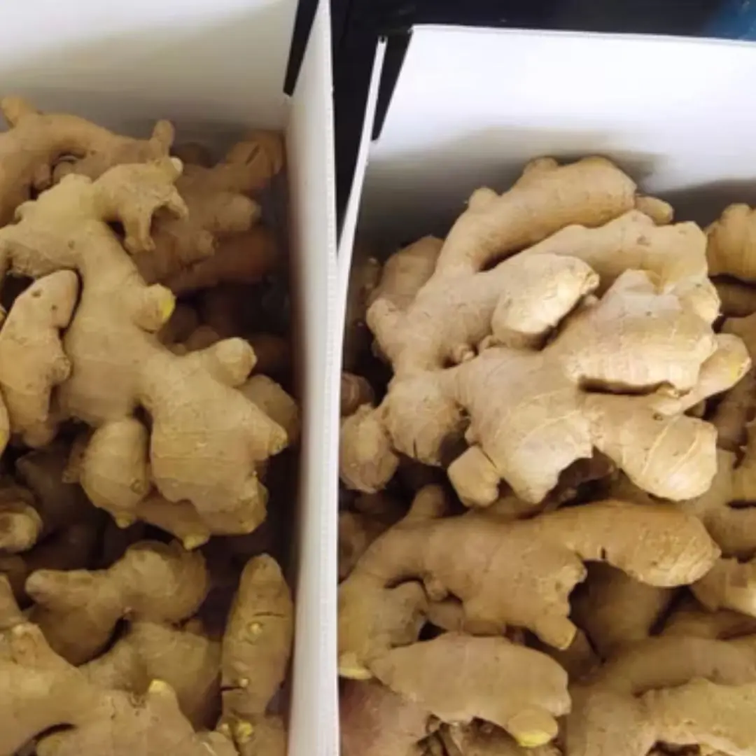 Small tips to help preserve ginger easily, use all year round without worrying about it drying out or spoiling