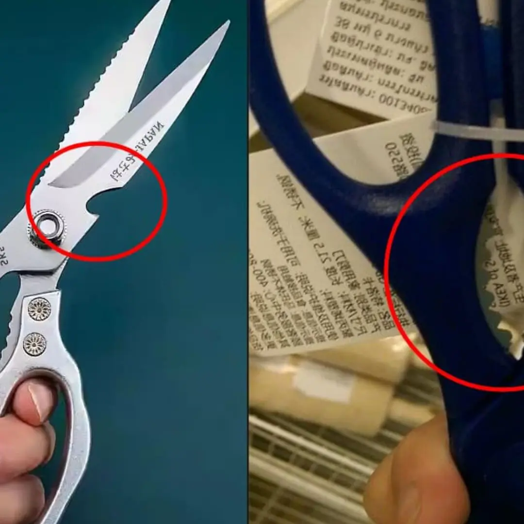 What is the serrated hole on scis.sors used for? It has 4 great uses, it's a waste if you don't know!