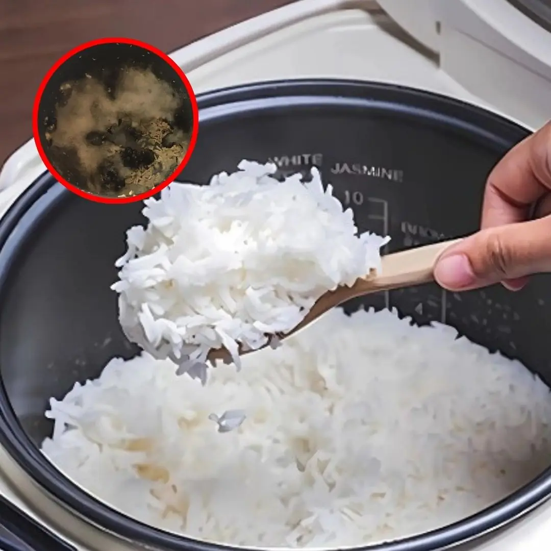 Can rice left in a rice cooker overnight still be eaten: Today I was star.tled when I found out the answer