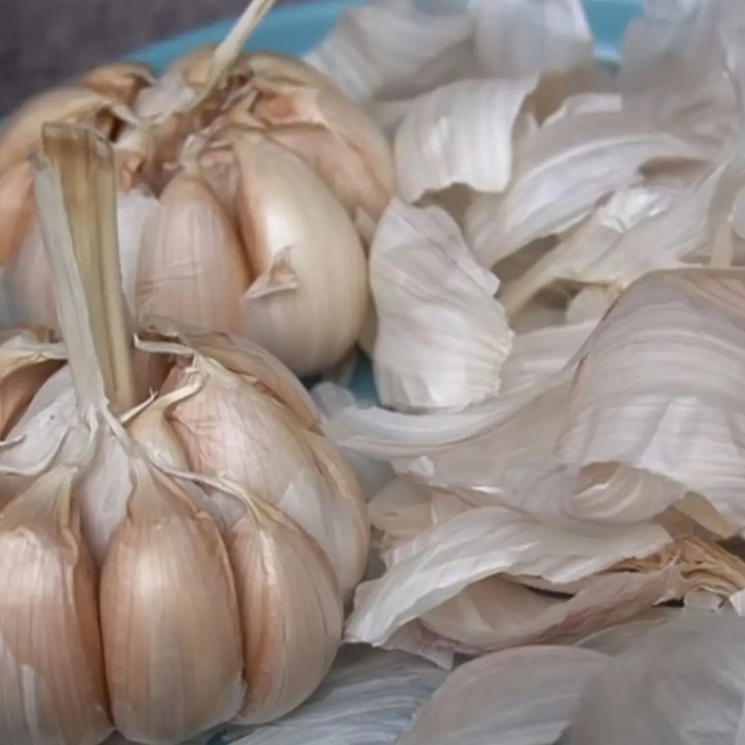 The surprising benefits of garlic skins: Many people regret not knowing sooner
