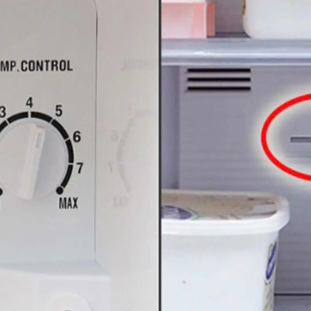Refrigerator has a small button that can save millions in electricity bill