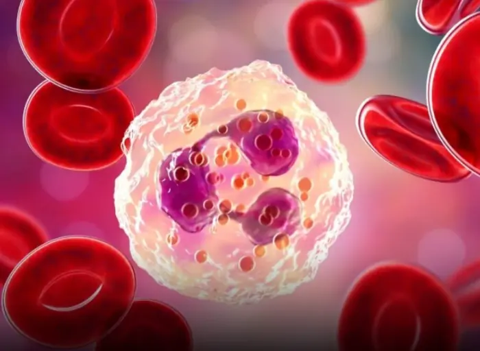 Doctors identify the blo.od type most at risk developing stomach can.cer