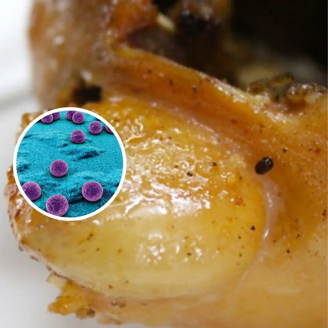4 parts of the chicken contain many pa.rasites but many people still eat them without worry