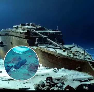 The real reason why nobody has ever found human remains inside the Titanic wreckage