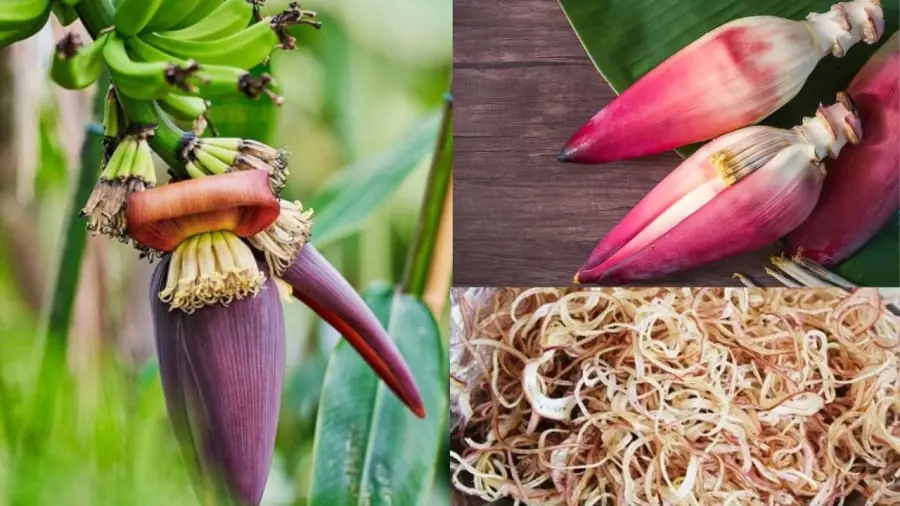 What Happens to Your Body When You Regularly Eat Banana Blossoms?