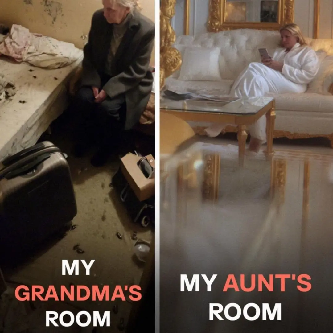My Aunt Convinced Grandma to Pay for a 'Family Vacation'—Then Dumped Her in a Cheap Motel While She Lived in Luxury but We Had the Last Laugh