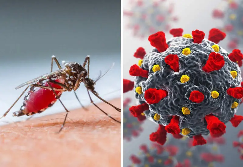 7 Foods You Must Avoid When You Have Dengue Fever