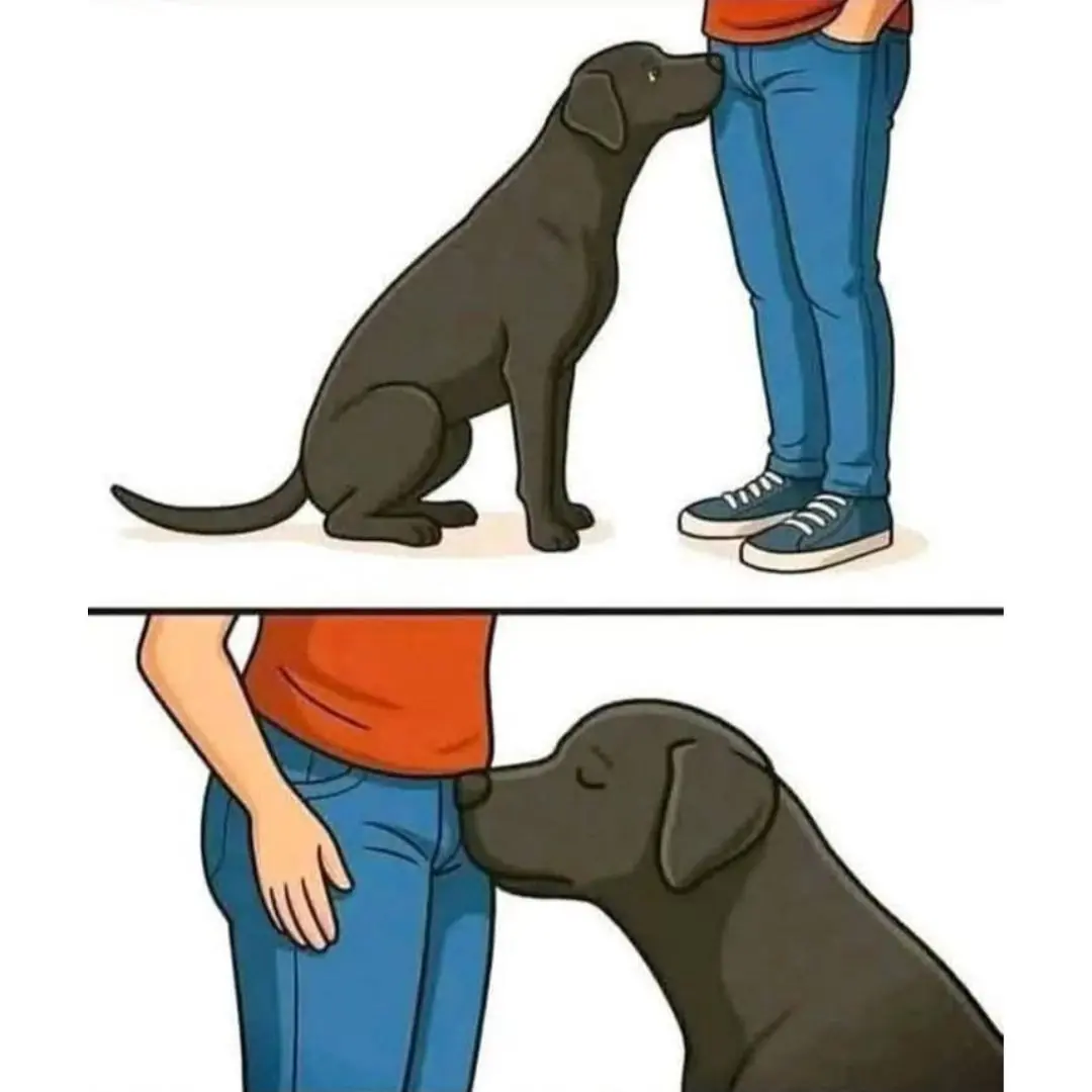 Why Do Dogs Sniff Your Crotch? Experts Explain This Awkward Canine Behavior