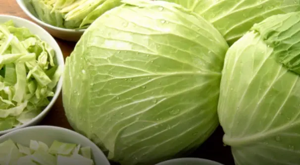 4 types of people who should avoid eating cabbage