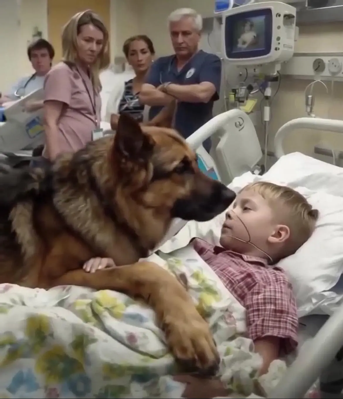 Boy shares a heartfelt hug with his dog before surgery — the outcome surprises everyone