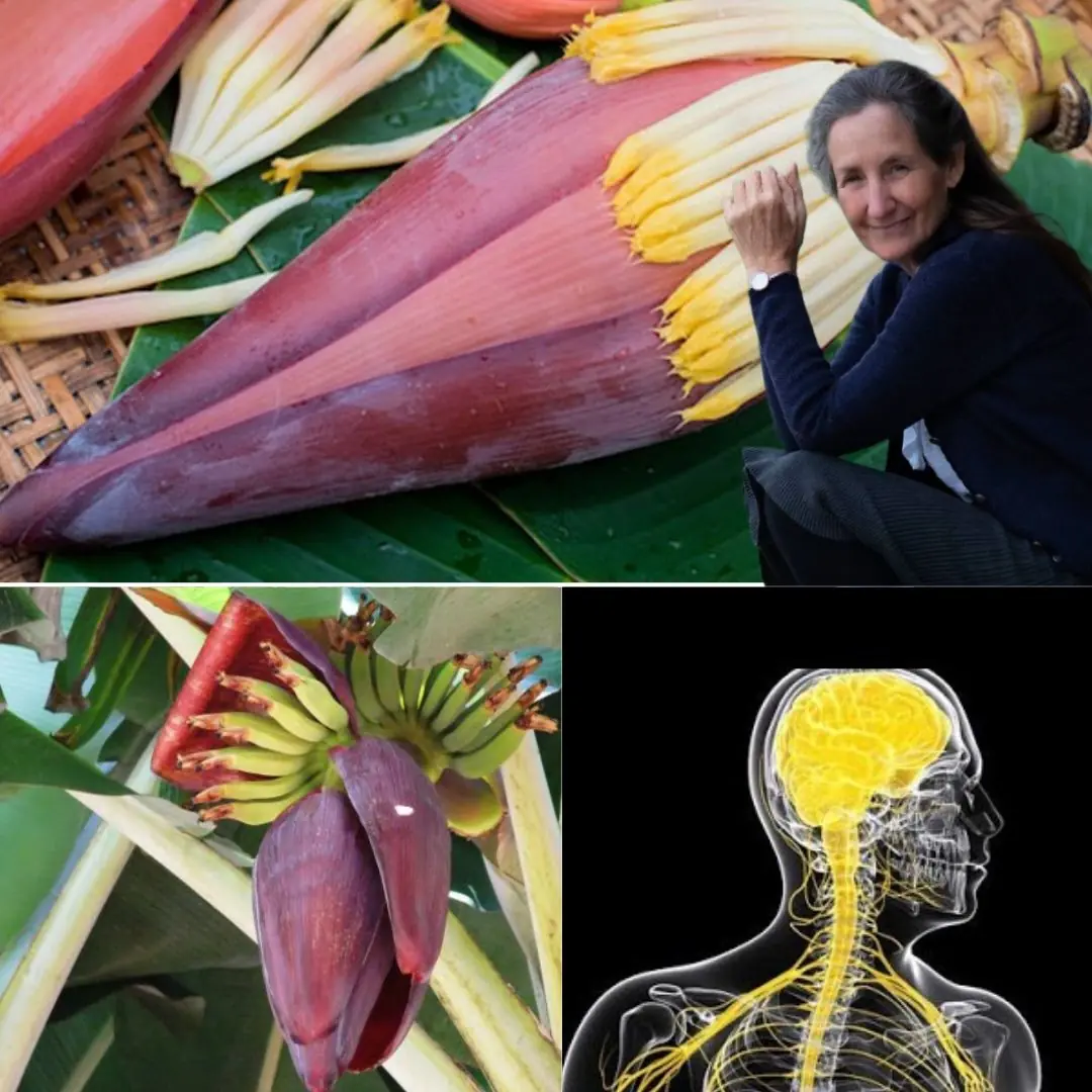 Banana Flower Superfood: Juice, Recipes & Powerful Health Benefits You Didn't Know About