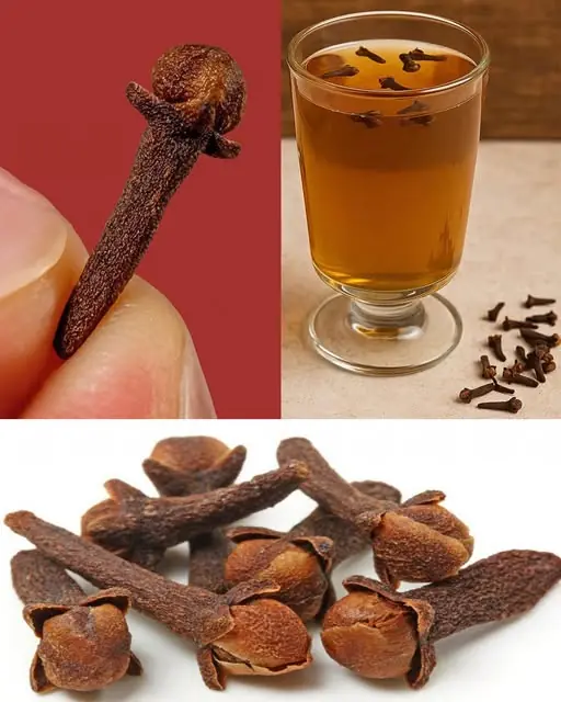 You’ve probably heard of cloves but you never knew the power of clove water