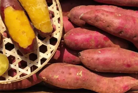 What Happens to People Who Regularly Eat Sweet Potatoes for Breakfast Over a Long Period of Time?
