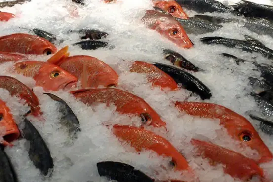 Follow this tip and your fish will stay fresh without losing its nutrients