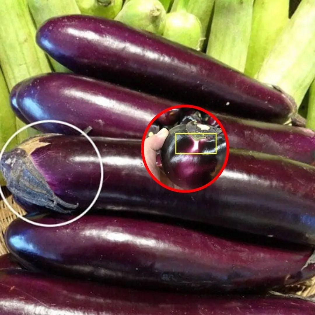 Unlock the secret to choosing perfectly tender, flavorful eggplants — fresh, safe, and free from preservatives!