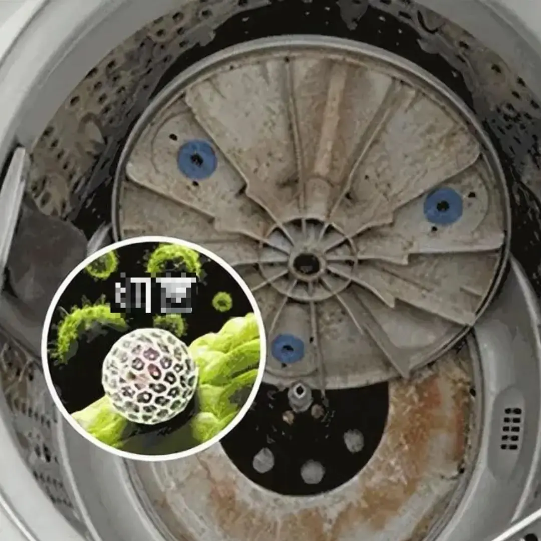 There’s one household item most people forget to clean, yet it can quickly turn into a hotspot for bacteria and illness