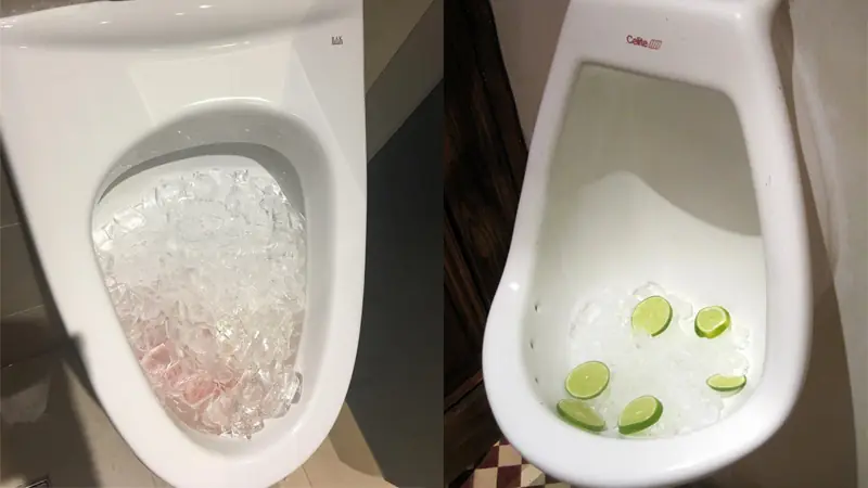 People Pour Buckets of Ice into the Toilet — The Result Leaves Everyone Stunned