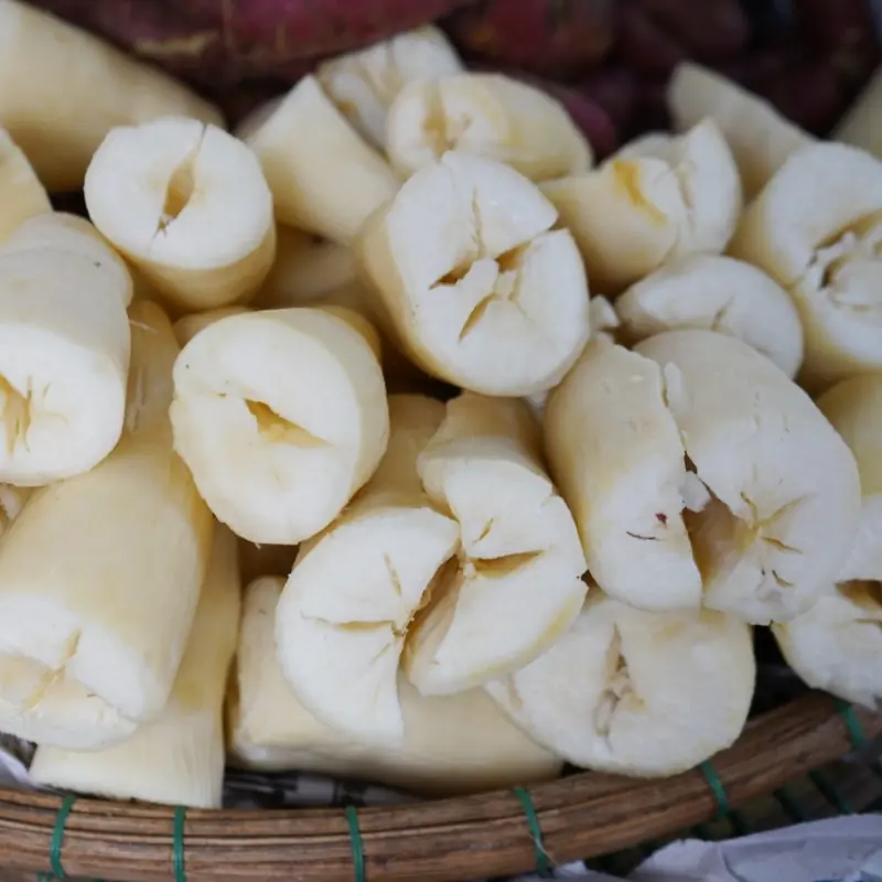 Over 200 People Are Ki.lled By The “World’s Deadliest Food” Every Year, But Almost 500 Million People Still Eat It