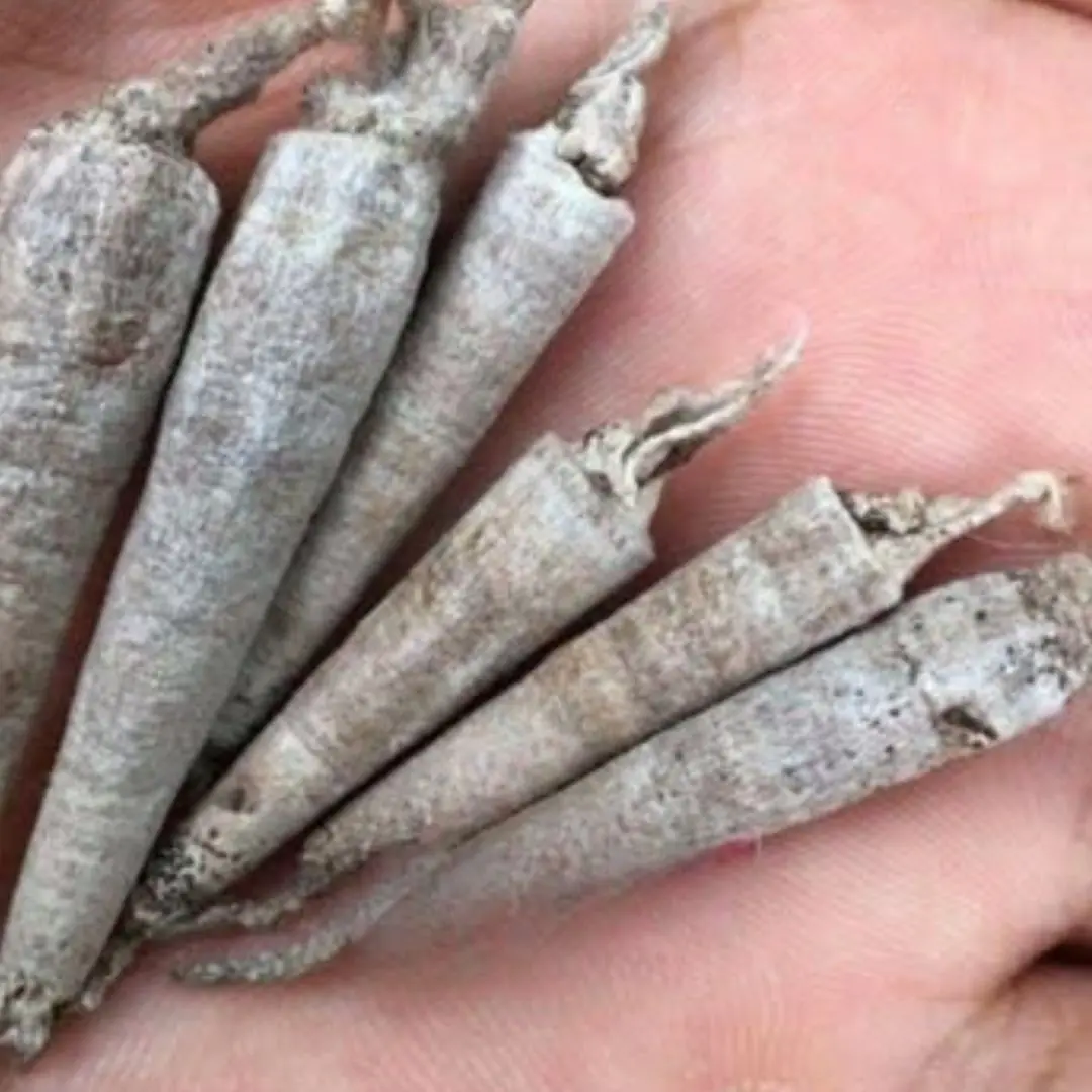 If you know what this is, you had a very wild chilhood