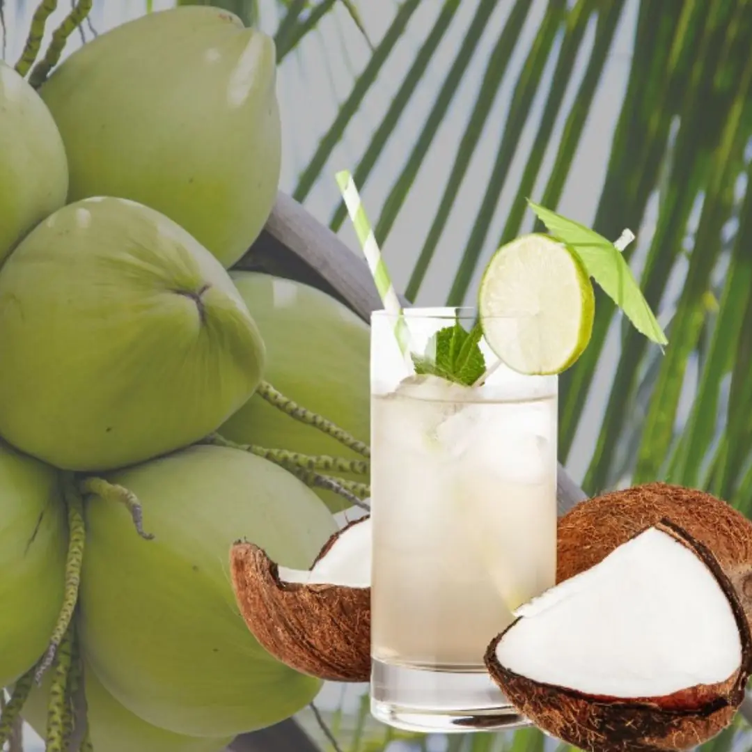 Coconut water is good for health but the following 5 groups of people absolutely should not drink it