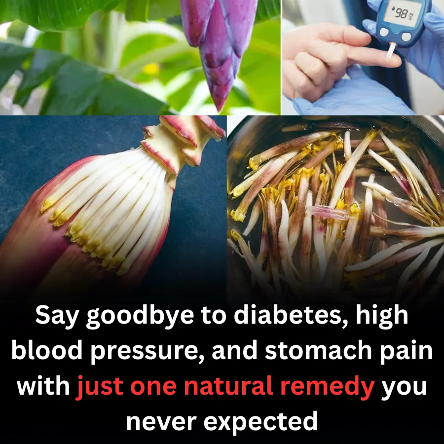 Banana Blossom: Health Benefits, Recipes, and Traditional Uses