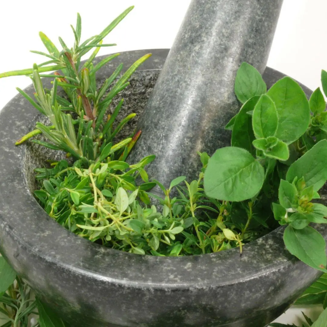 Bring out your hair’s natural shine with a leaf growing right in your garden