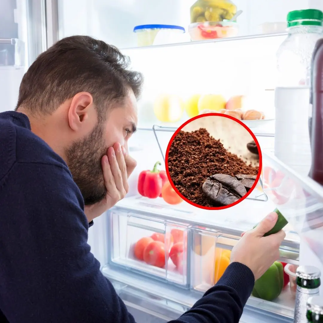 Prevent refrigerator odor with kitchen waste, no cost, fresh and fragrant refrigerator, fresh food