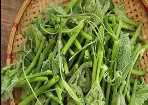 These 3 vegetables have a high risk of causing ca.n.cer. Know early to avoid them and tell your loved ones!