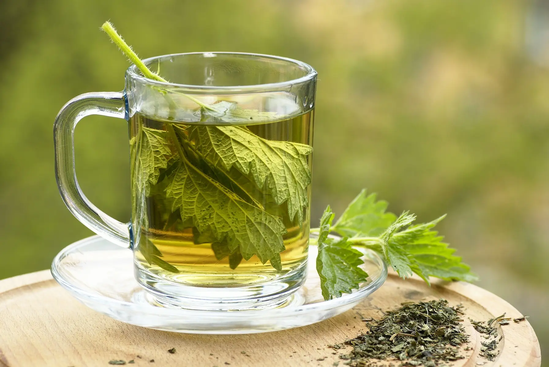 Nettle Tea: The Surprising Herbal Drink with Real Health Power