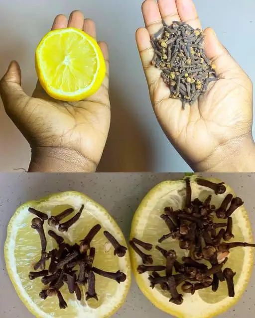 Exploring the Synergistic Health and Household Benefits of Clove, Lemon, and Onion