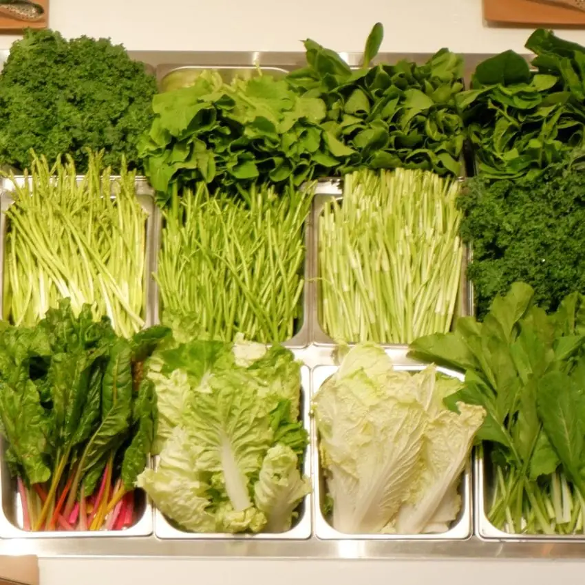 6 Vegetables That Help Regulate Blood Lipids Naturally