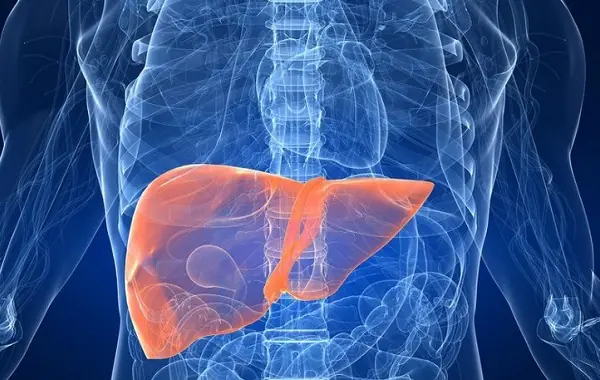 6 Warning Signs Your Li.ver May Be in Trouble