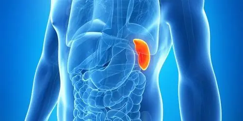 4 Abdominal Changes That Could Signal a Hidden Tumor