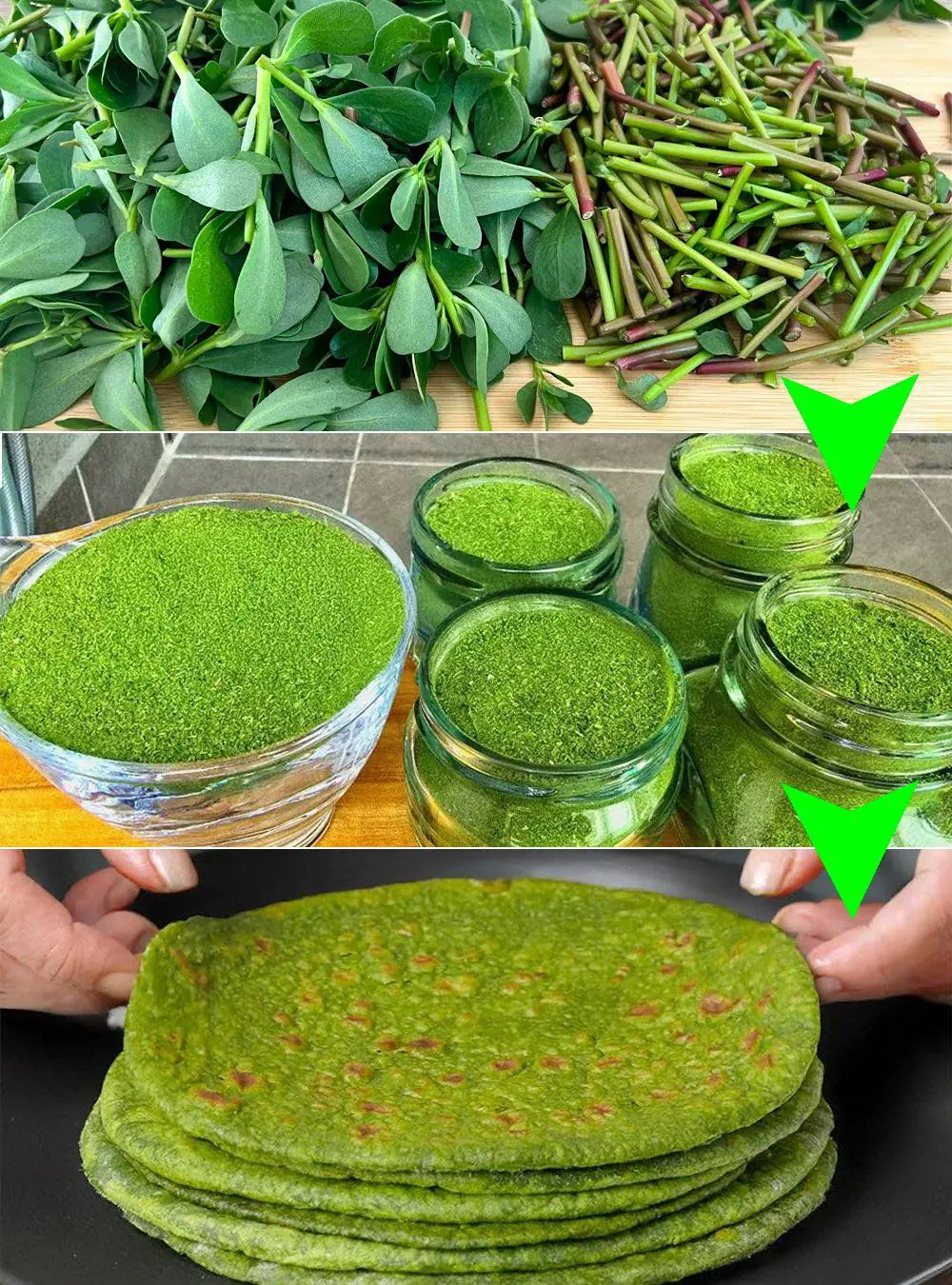 30 Incredible Benefits of Purslane You Probably Didn’t Know About