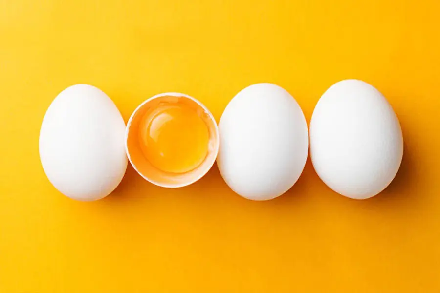 How Eating Eggs Improves Brain Health: The Benefits You Didn’t Know