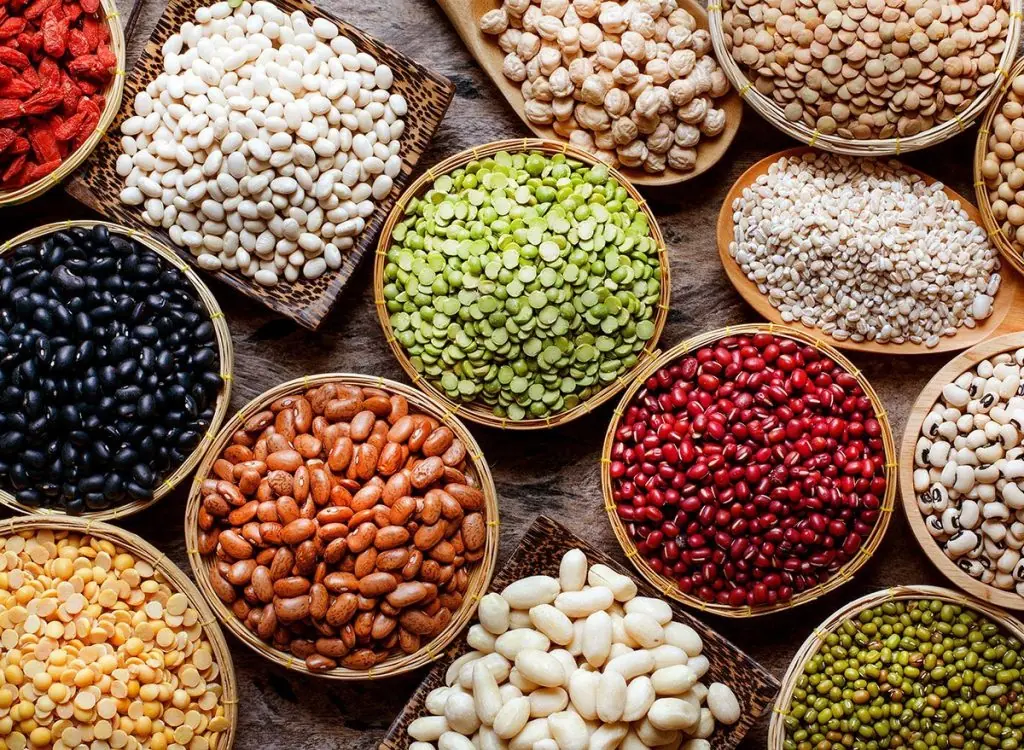 Canned Beans vs. Dried Beans: Which One is Better for Digestion and Heart Health?