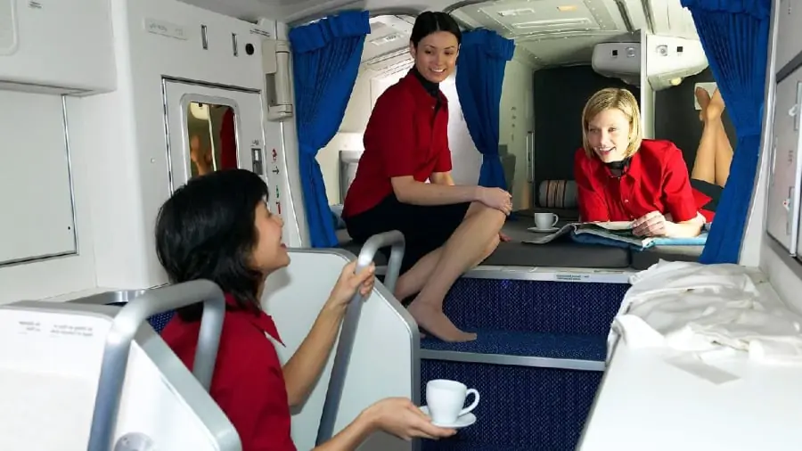 The Secret Language Between Flight Attendants and Pilots That Most Passengers Don’t Understand